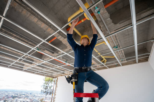 Best Leak Detection Services  in Holt, MI