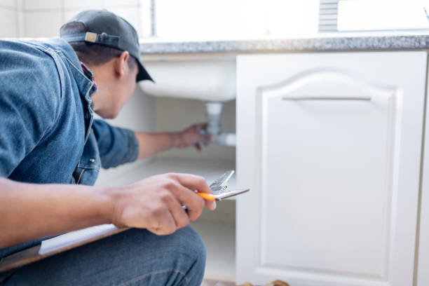 Best Leak Detection Services  in Holt, MI