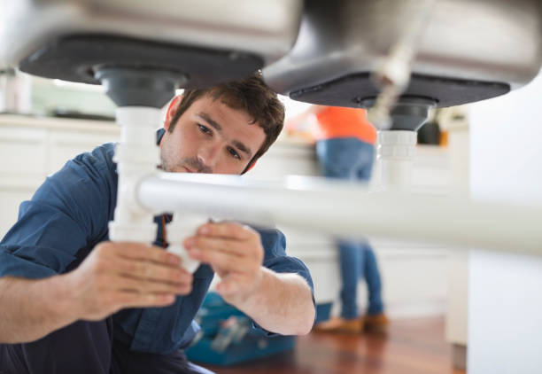 Best Affordable Plumbing Services  in Holt, MI