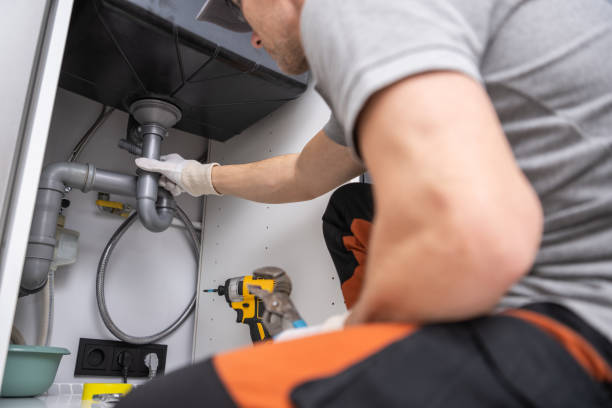  Holt, MI Plumbing Pros